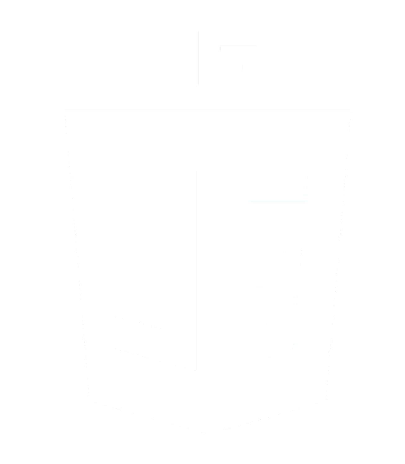 JS